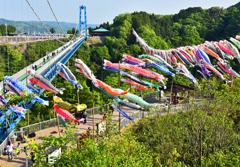 鯉のぼり　銀河 単品 鯉のぼり 銀河1m 【黒、赤、青】 – 福仙